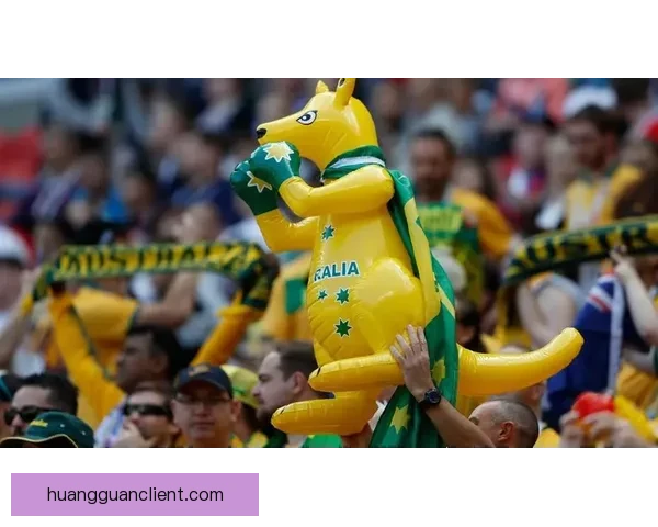 资深球迷分享世界杯竞猜投注策略与热门球队走势分析指南今日实战